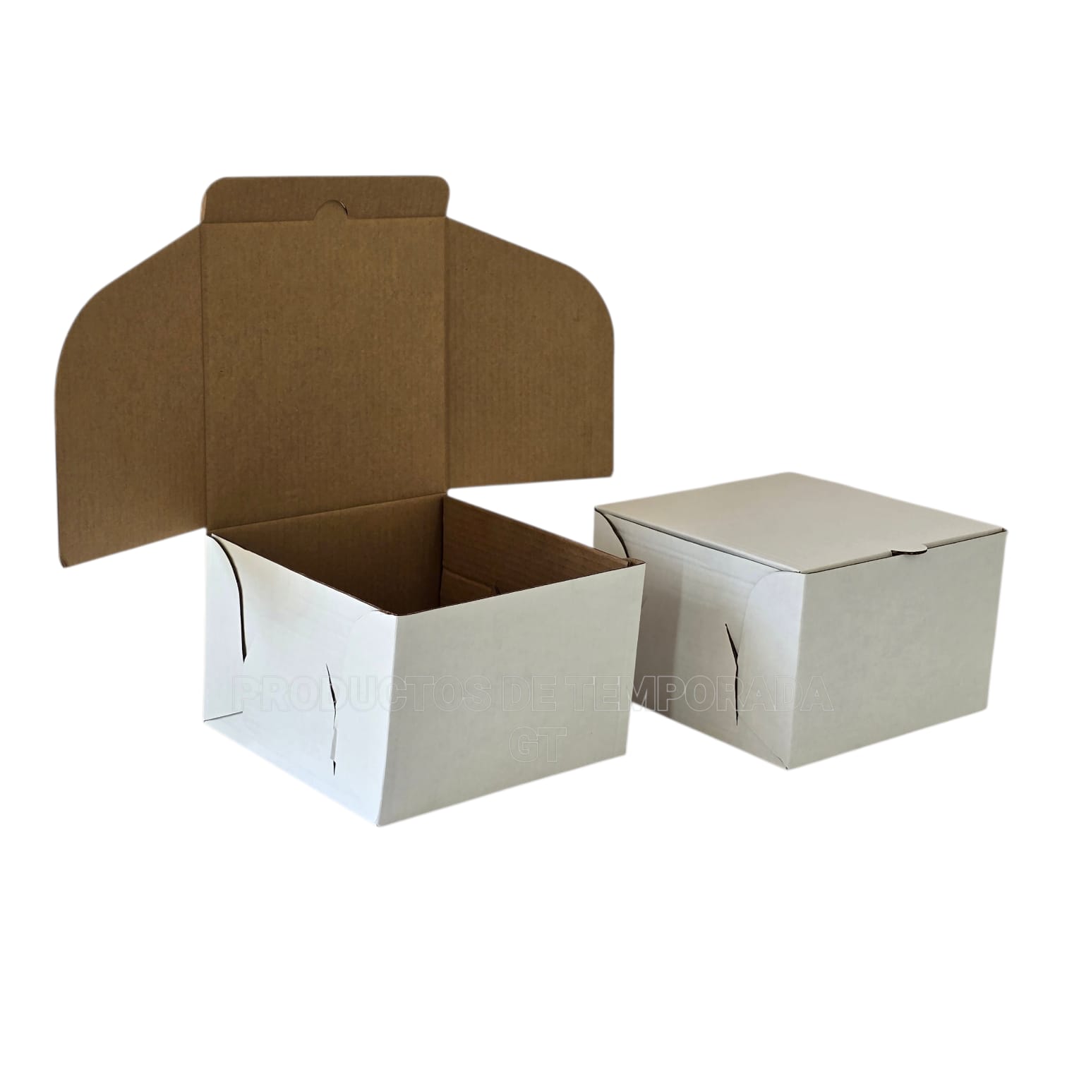 Caja Blanca Multiusos 7964CC