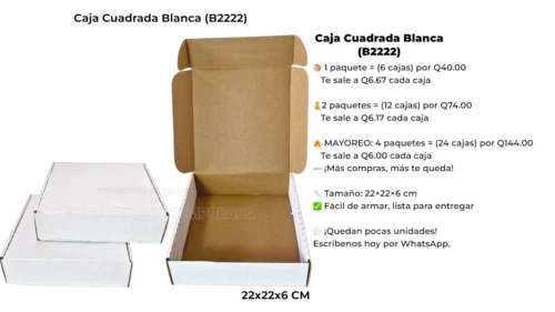 Caja Cuadrada Blanca (B2222) Caja Cuadrada Blanca (B2222)