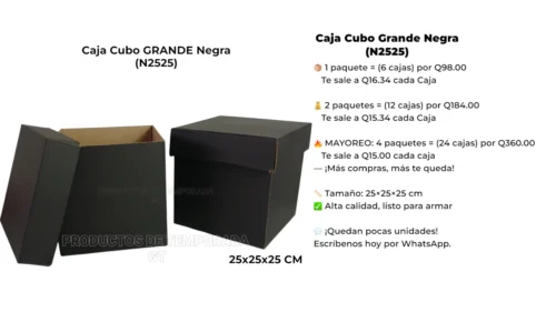 Caja Cubo Grande Negra (N2525) Caja Cubo Grande Negra (N2525)