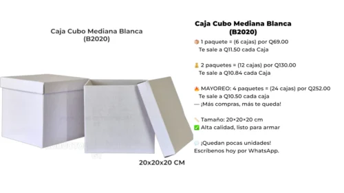 Caja Cubo Mediana Blanca (B2020) Caja Cubo Mediana Blanca (B2020)