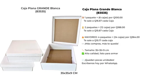 Caja Plana Grande Blanca (B3535) Caja Plana Grande Blanca (B3535)