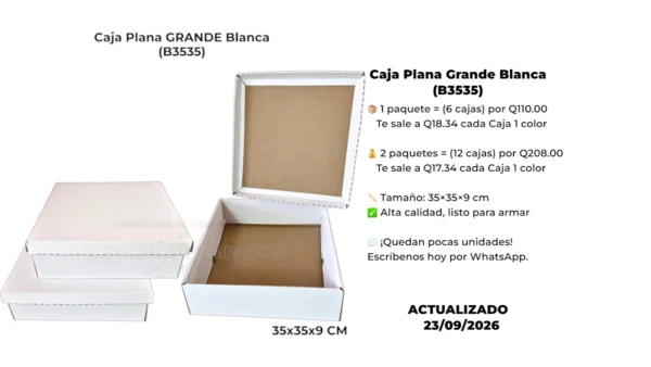 Caja Plana Grande Blanca (B3535) Caja Plana Grande Blanca (B3535)