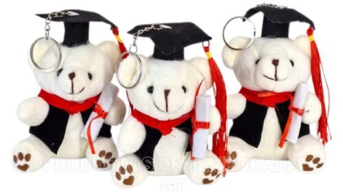 Peluche Graduacion Pequeño