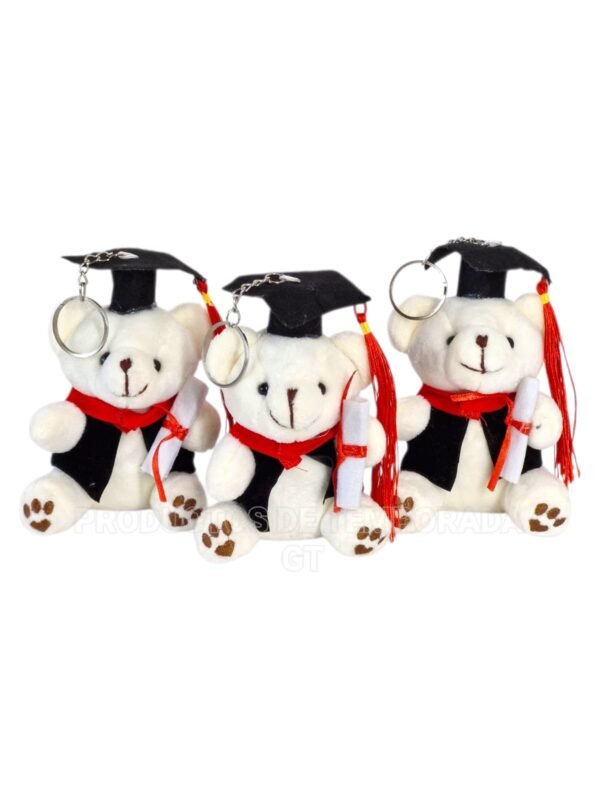 Peluche Graduacion Pequeño