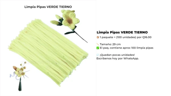 Limpia Pipas VERDE TIERNO