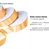 Rollo Liston Melon