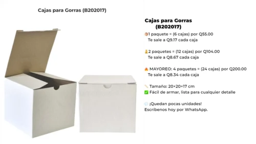 Caja para Gorra (B202017)